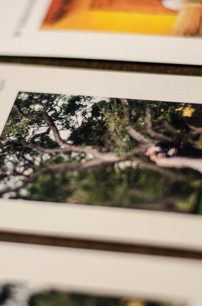 Lustre vs linen - Kincannon Photography