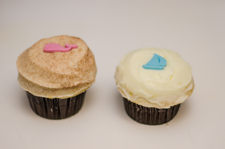 gender reveal photographer - Kincannon Photography