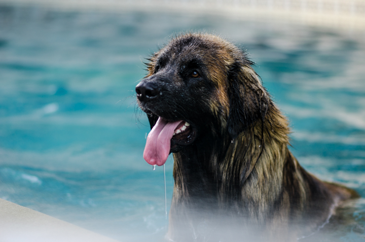 Photos by Kincannon Photography