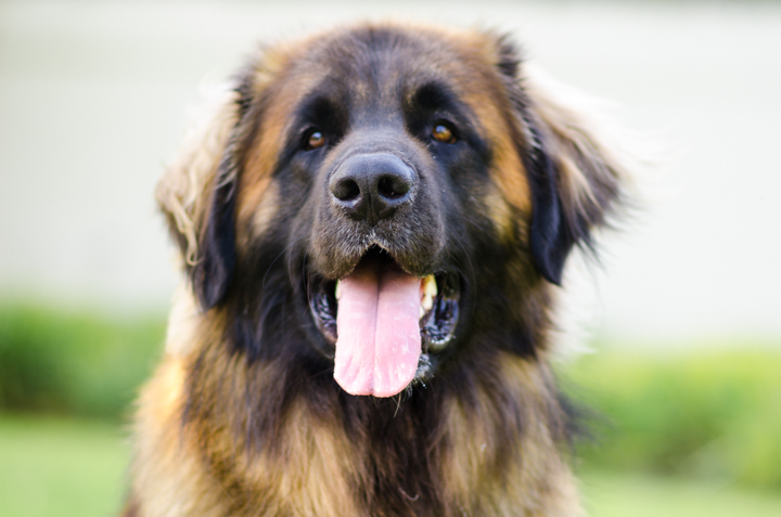 Photos by Kincannon Photography