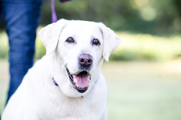 Photos by Kincannon Photography