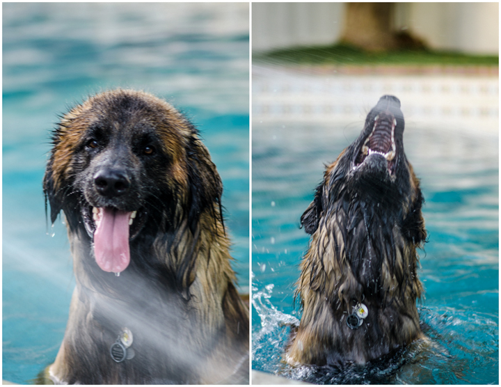 Capistrano Family Photographer (8 of 8)