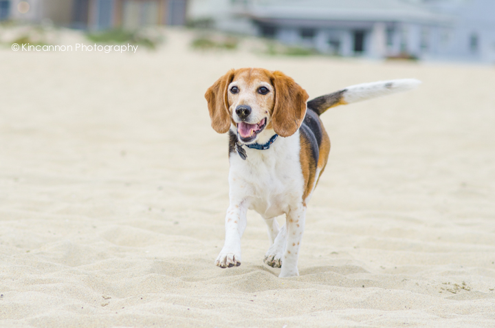 Photo by: www.KincannonPhotography.com