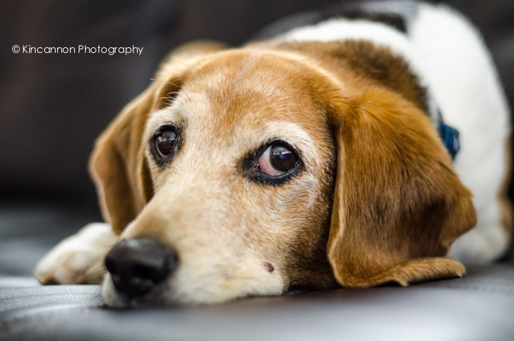 Photo by: www.KincannonPhotography.com