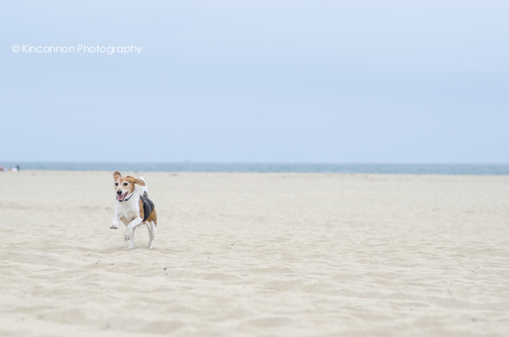 Photo by: www.KincannonPhotography.com