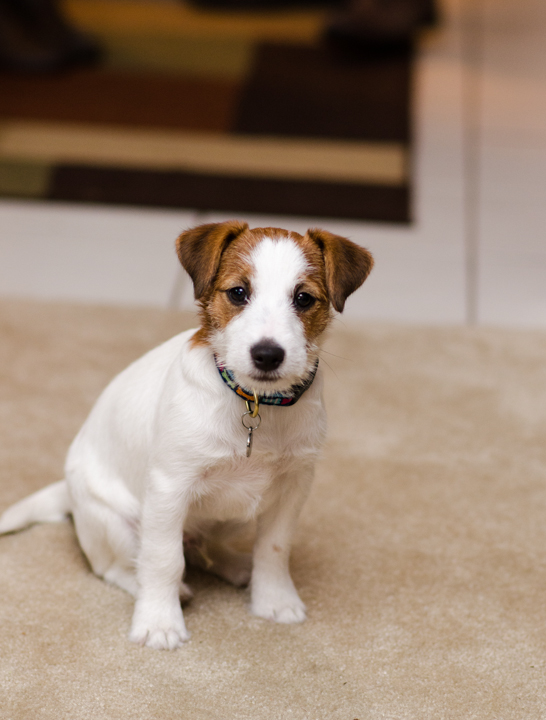 a night with the girls a night with the girls