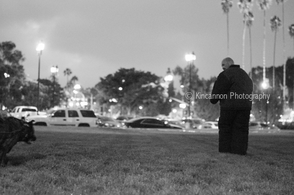 Santa Ana k9 kincannon photography (10 of 16)