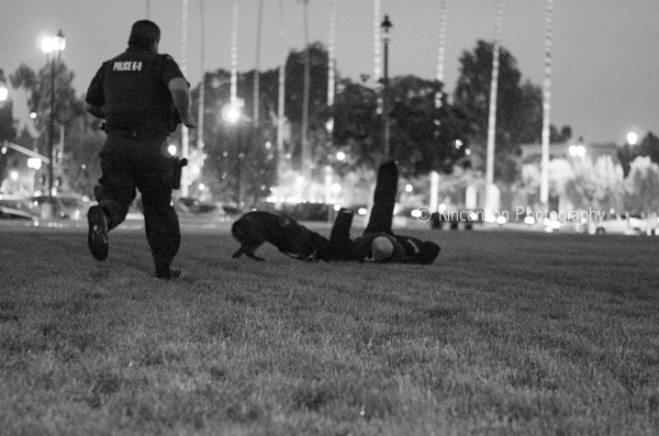 Santa Ana k9 kincannon photography (13 of 16)