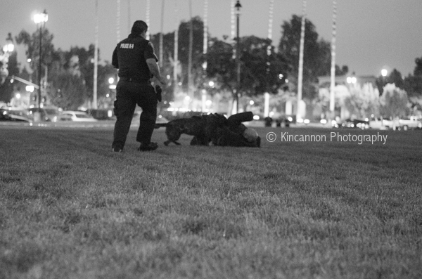 Santa Ana k9 kincannon photography (14 of 16)