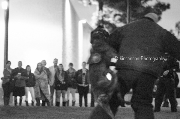 Santa Ana k9 kincannon photography (7 of 16)