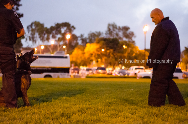 Santa Ana k9 kincannon photography (8 of 16)