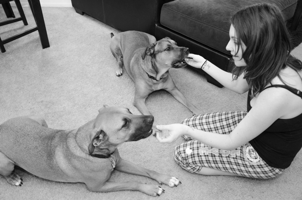 Photo by: www.KincannonPhotography.com