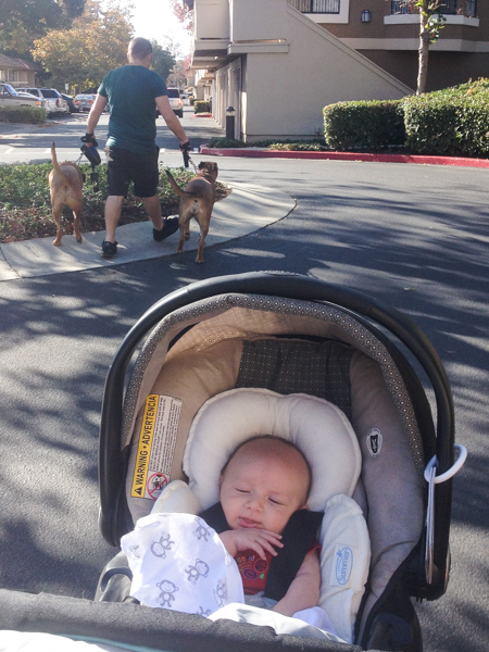 Photo by: www.KincannonPhotography.com