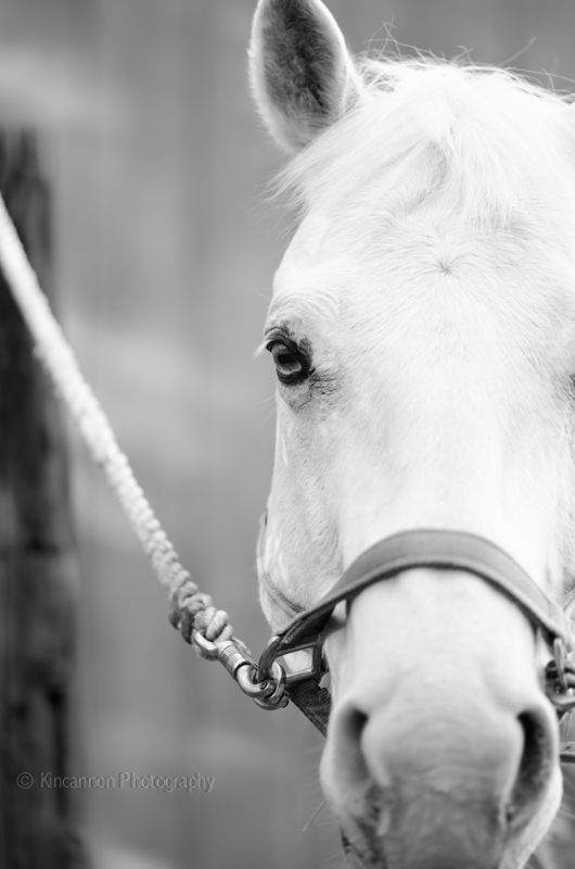 Photo by: www.KincannonPhotography.com