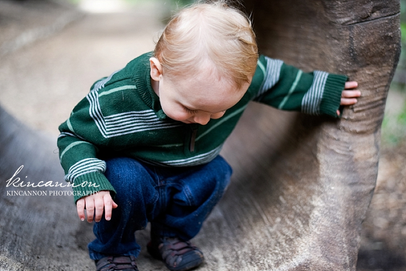 Children Photographer Yorba Linda Orange County