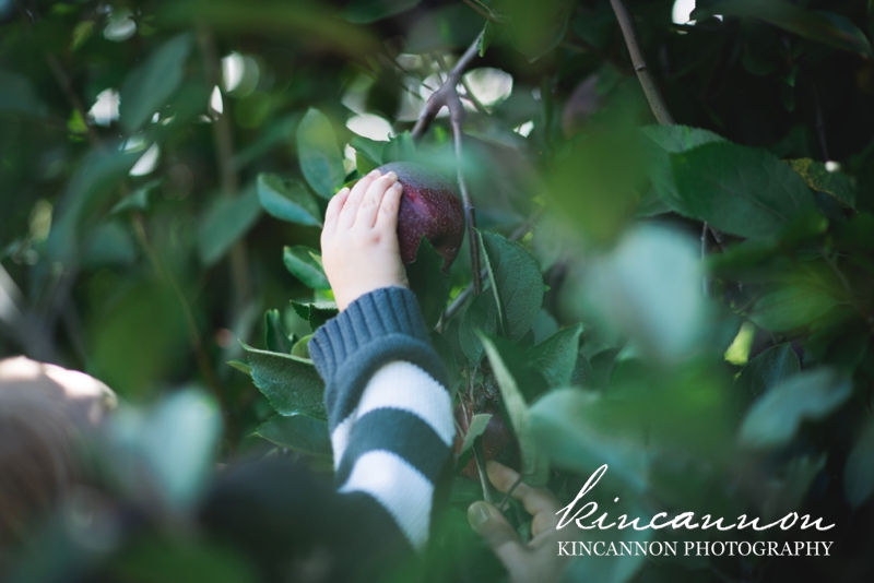 children photographer orange county kincannon photography