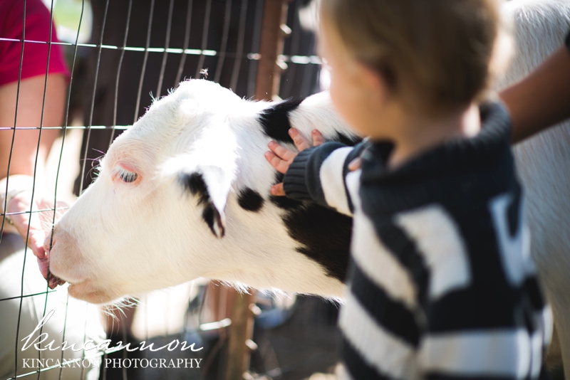 children photographer orange county_0206