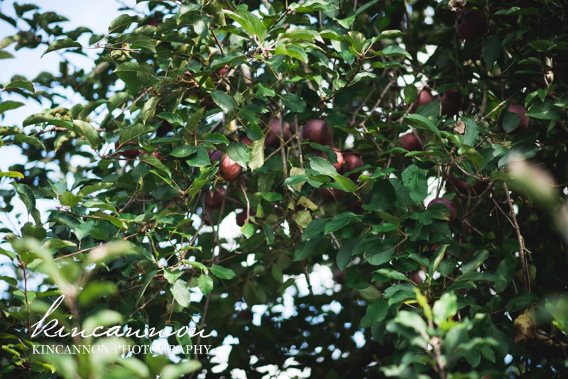 children photographer orange county_0211