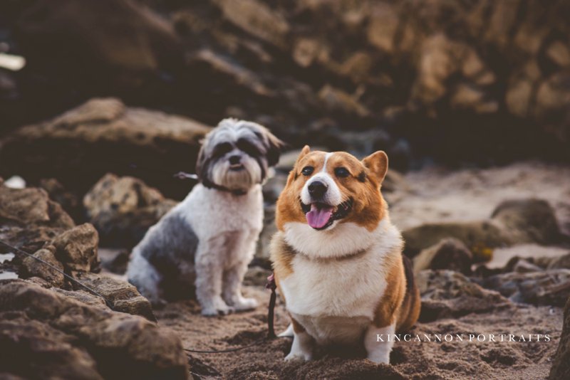Corona Del Mar Photographer